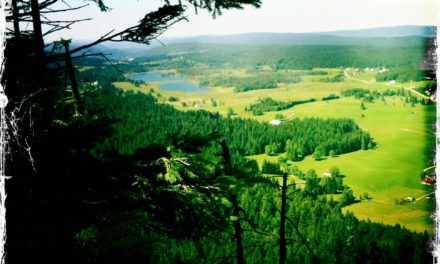 LE  RISOUX, LA FORÊT MYTHIQUE